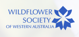 The Wildflower Society of Western Australia